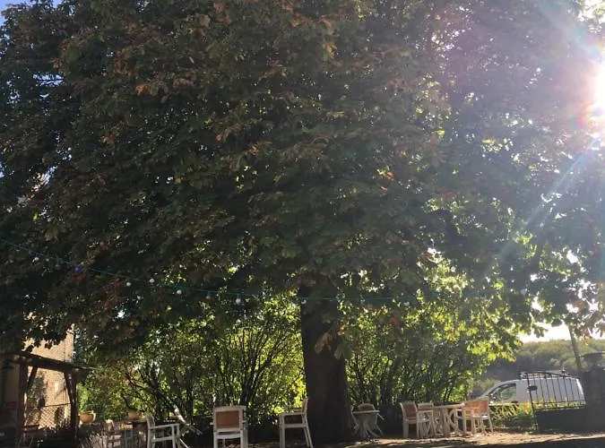 מלון O Marronnier De